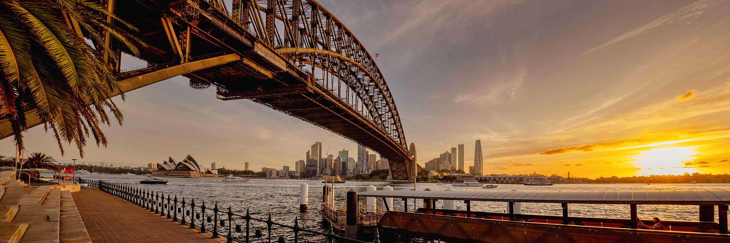 Sydney magician hire - evening skyline over harbour