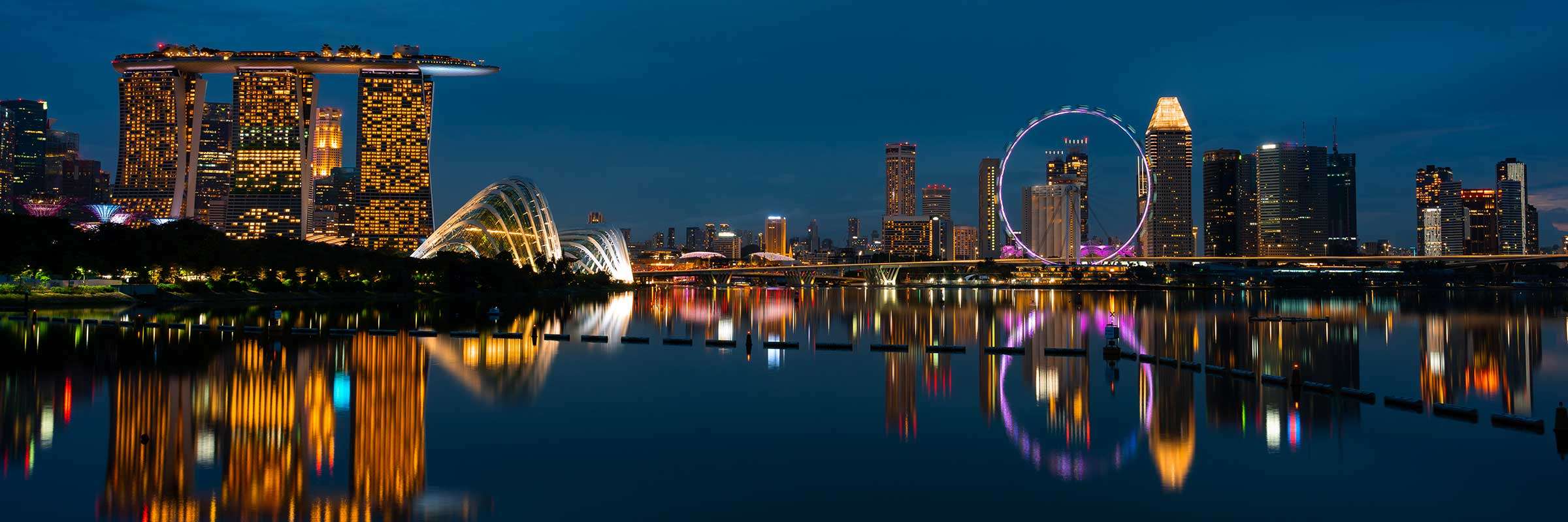 Singapore magician hire - night skyline